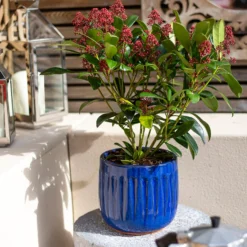 Chiswick Running Pot Blue - 30cm -Flowerpot Specialty Store 13973639 7675011238731191