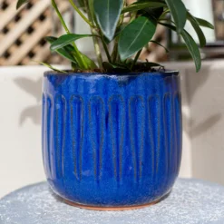 Chiswick Running Pot Blue - 24cm 8 Chiswick Running Pot Blue - 24cm -Flowerpot Specialty Store 13973640 1895011238658105