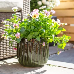 Chiswick Running Pot Green - 30cm -Flowerpot Specialty Store 13973644 6395011242605997