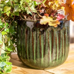 Chiswick Running Pot Green - 24cm -Flowerpot Specialty Store 13973645 1285011238620542