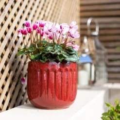 Chiswick Running Pot Red - 38cm 6 Chiswick Running Pot Red - 38cm -Flowerpot Specialty Store 13973648 9875011238791869