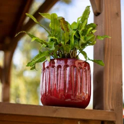 Chiswick Running Pot Red - 18cm 7 Chiswick Running Pot Red - 18cm -Flowerpot Specialty Store 13973651 1775011238634708