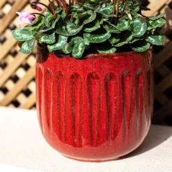 Chiswick Running Pot Red - 18cm 8 Chiswick Running Pot Red - 18cm -Flowerpot Specialty Store 13973651 1995011238682963