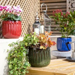 Chiswick Running Pot Red - 18cm 9 Chiswick Running Pot Red - 18cm -Flowerpot Specialty Store 13973651 2145011238729160