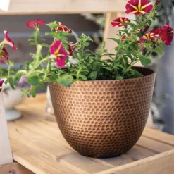 Suva Hammered Pot Bronze - 31cm -Flowerpot Specialty Store 13973654 6975011805770104