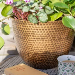 Suva Hammered Pot Bronze - 38cm -Flowerpot Specialty Store 13973655 9525011805626407