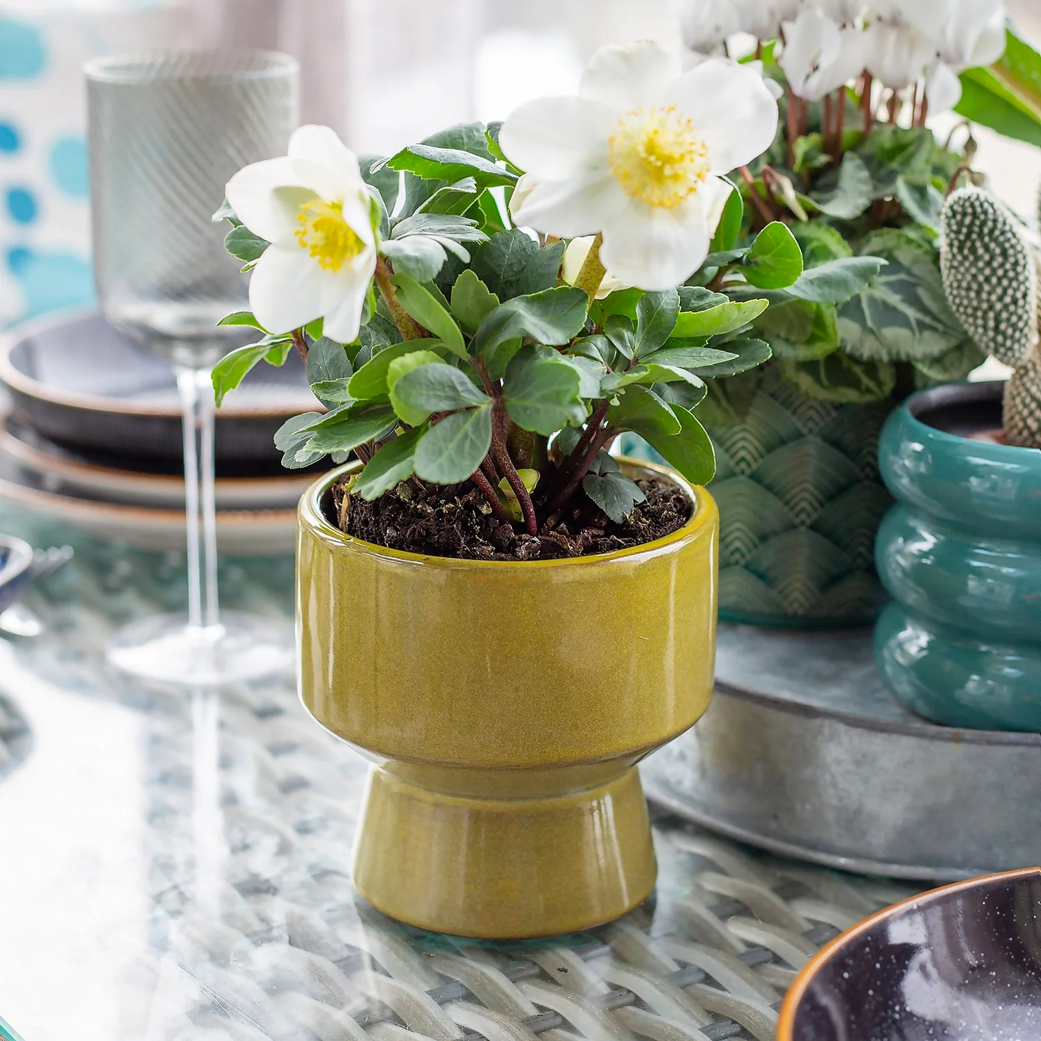 Chamfered Indoor Plant Pot - 13cm 7 Chamfered Indoor Plant Pot - 13cm - Image 7