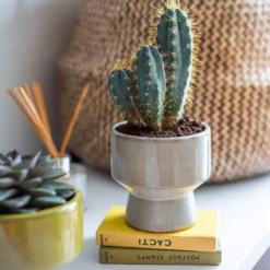 Chamfered Indoor Plant Pot - 13cm 14 Chamfered Indoor Plant Pot - 13cm -Flowerpot Specialty Store 14197408 4575024191304589