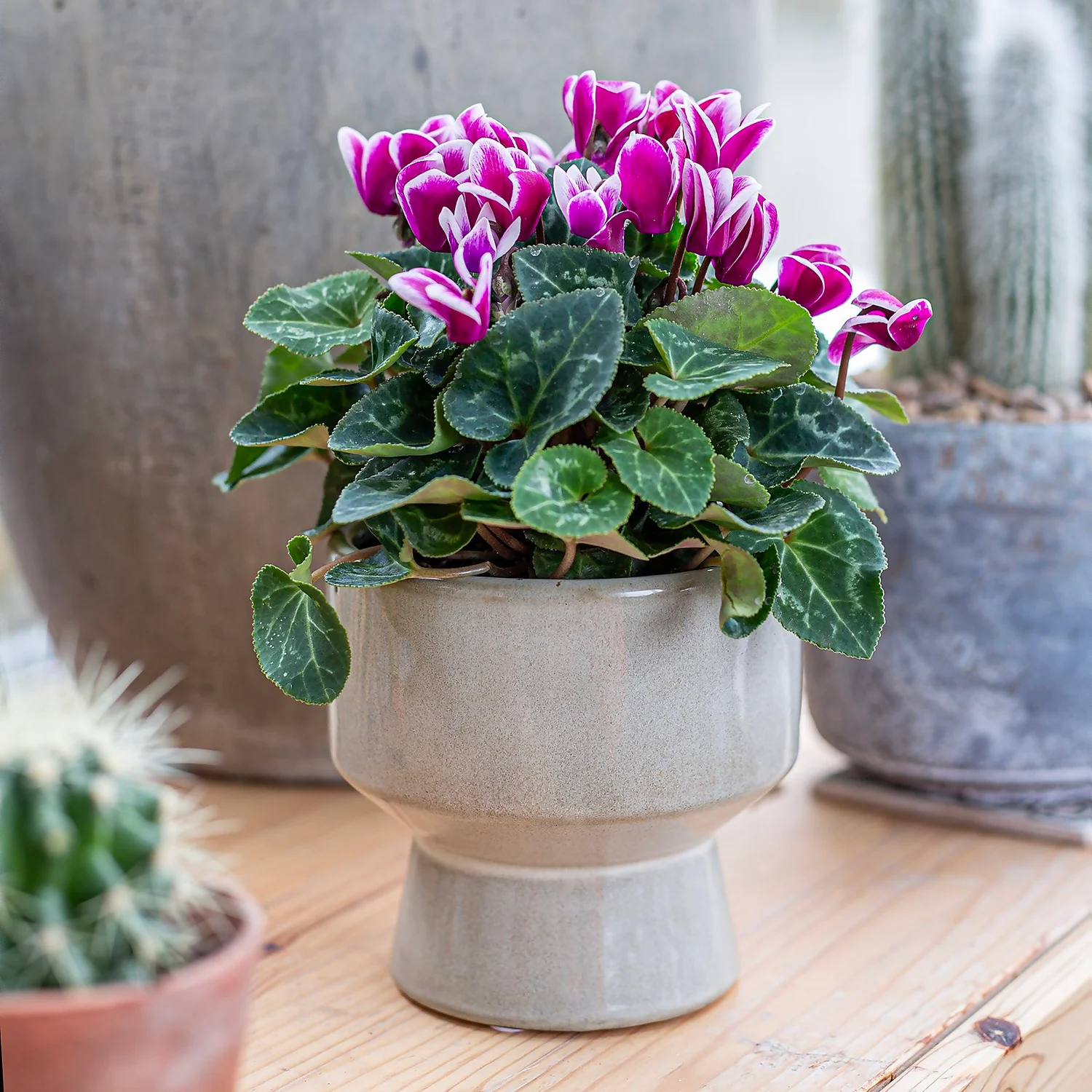 Chamfered Indoor Plant Pot - 13cm 6 Chamfered Indoor Plant Pot - 13cm - Image 6