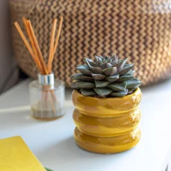 Ribbed Indoor Plant Pot - 11cm -Flowerpot Specialty Store 14197409 1165024191339590