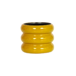 Ribbed Indoor Plant Pot - 11cm -Flowerpot Specialty Store 14197409 1325024191243200