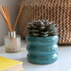 Ribbed Indoor Plant Pot - 11cm -Flowerpot Specialty Store 14197409 1445024191285971