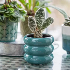 Ribbed Indoor Plant Pot - 11cm -Flowerpot Specialty Store 14197409 6435024191381575