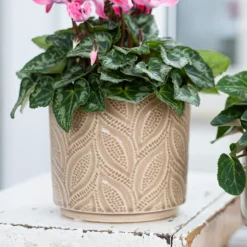 Crackle Leaf Indoor Plant Pot - 12cm -Flowerpot Specialty Store 14197410 2105024191396266