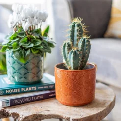 Art Deco Indoor Plant Pot - 12cm 11 Art Deco Indoor Plant Pot - 12cm -Flowerpot Specialty Store 14197411 1565024190838689