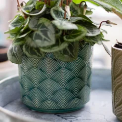 Art Deco Indoor Plant Pot - 12cm 19 Art Deco Indoor Plant Pot - 12cm -Flowerpot Specialty Store 14197411 2025024191054596