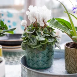 Art Deco Indoor Plant Pot - 12cm 14 Art Deco Indoor Plant Pot - 12cm -Flowerpot Specialty Store 14197411 2035024190791106