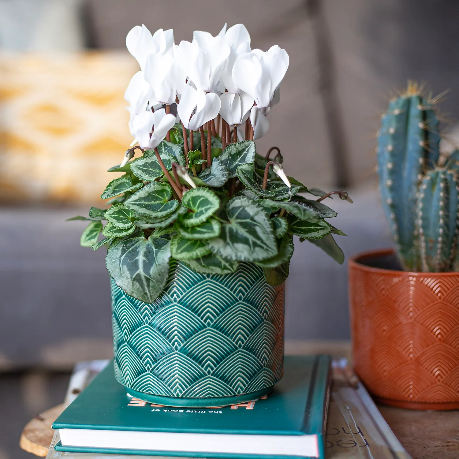 Art Deco Indoor Plant Pot - 12cm 6 Art Deco Indoor Plant Pot - 12cm - Image 6