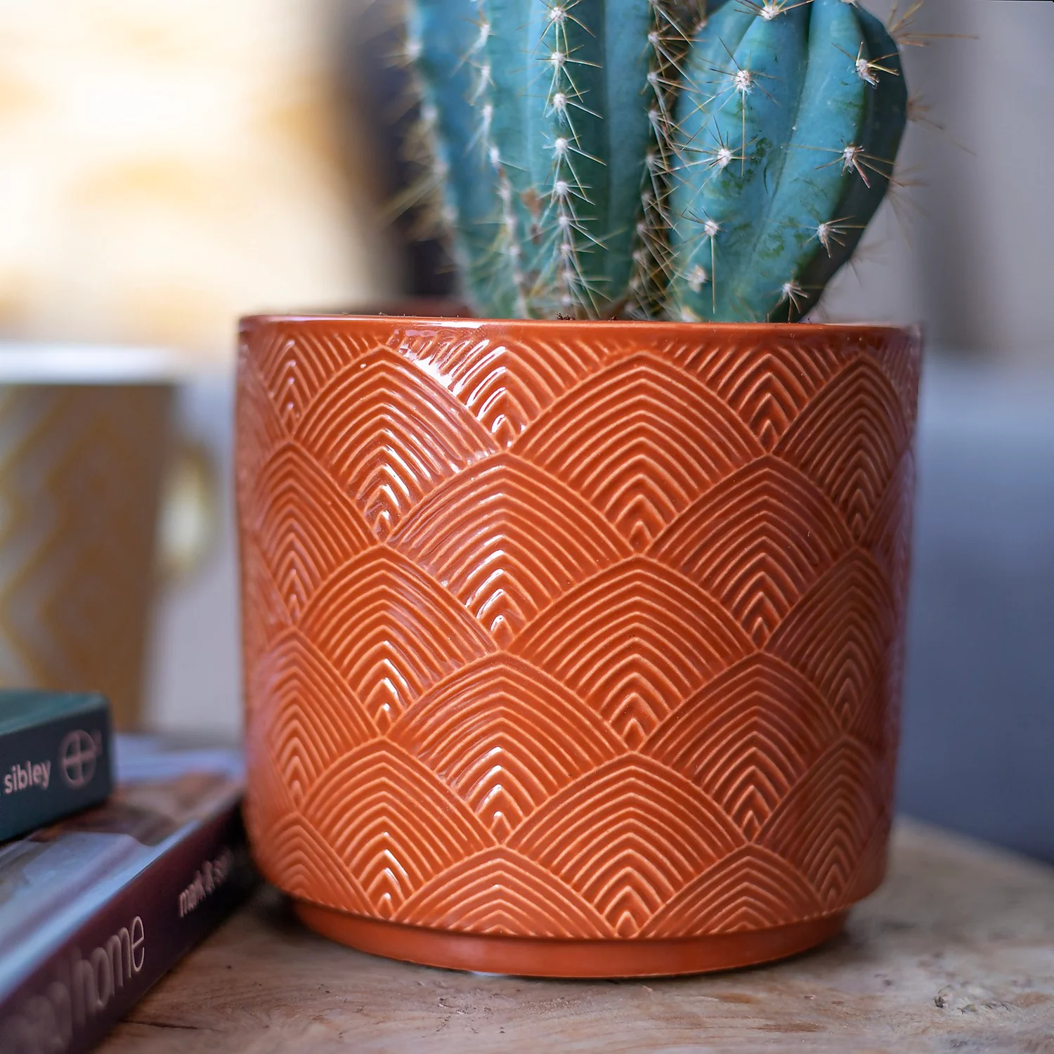 Art Deco Indoor Plant Pot - 12cm 9 Art Deco Indoor Plant Pot - 12cm - Image 9