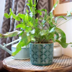 Art Deco Indoor Plant Pot - 12cm 17 Art Deco Indoor Plant Pot - 12cm -Flowerpot Specialty Store 14197411 8455024190966417