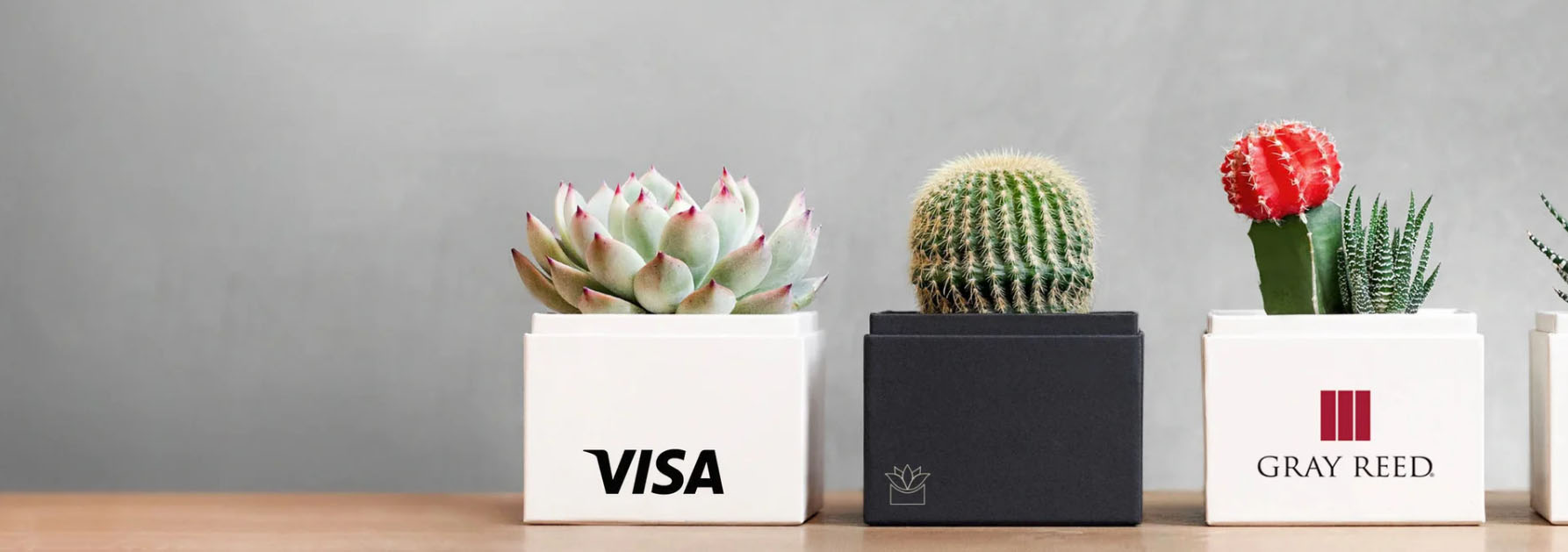 Flowerpot Specialty Store -Flowerpot Specialty Store dsfrdf